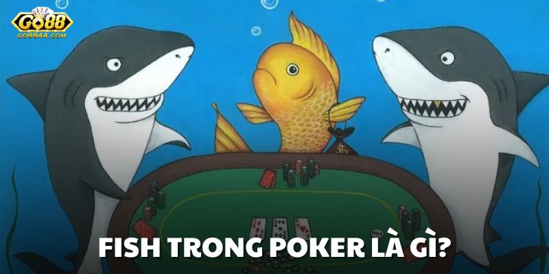 Bạn có biết Fish trong Poker là gì không?